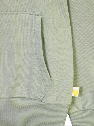 Комплект (джемпер, брюки) для мальчика, артикул:  332-845-53, фото 4
