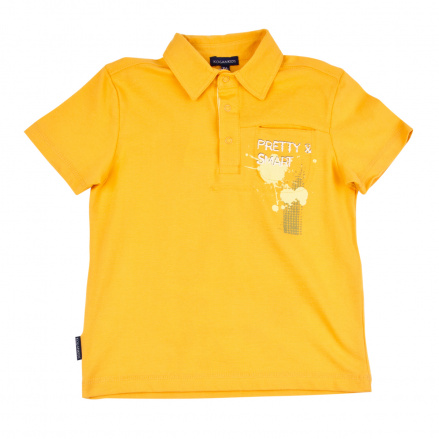 Рубашка-поло для мальчика, артикул: 042-021-15, фото 1