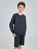 Мини изображение Комплект (джемпер, шорты) для мальчика, артикул:  332-847-42, фото 1